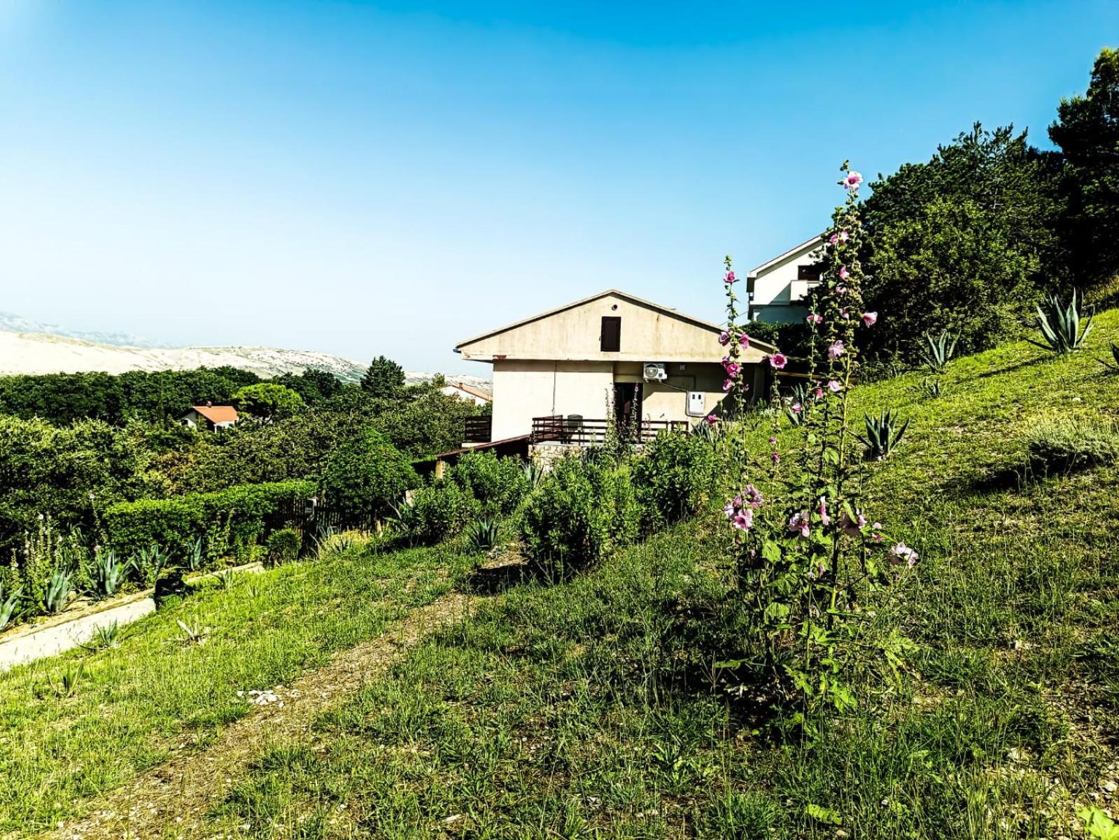 Apartment Mila Pet Friendly House With Private Place On The Pag Town