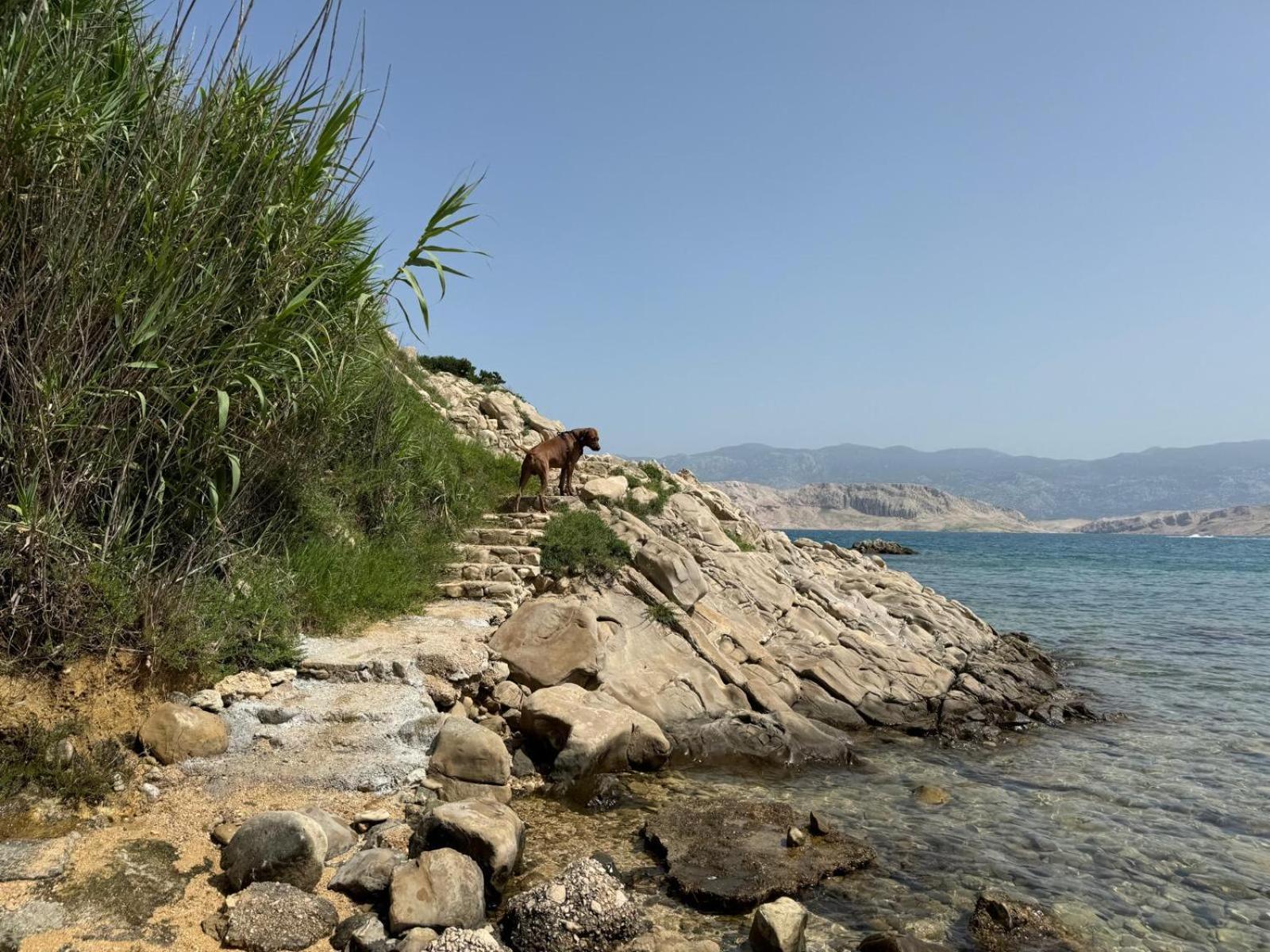 Mila Pet Friendly House With Private Place On The * Pag Town
