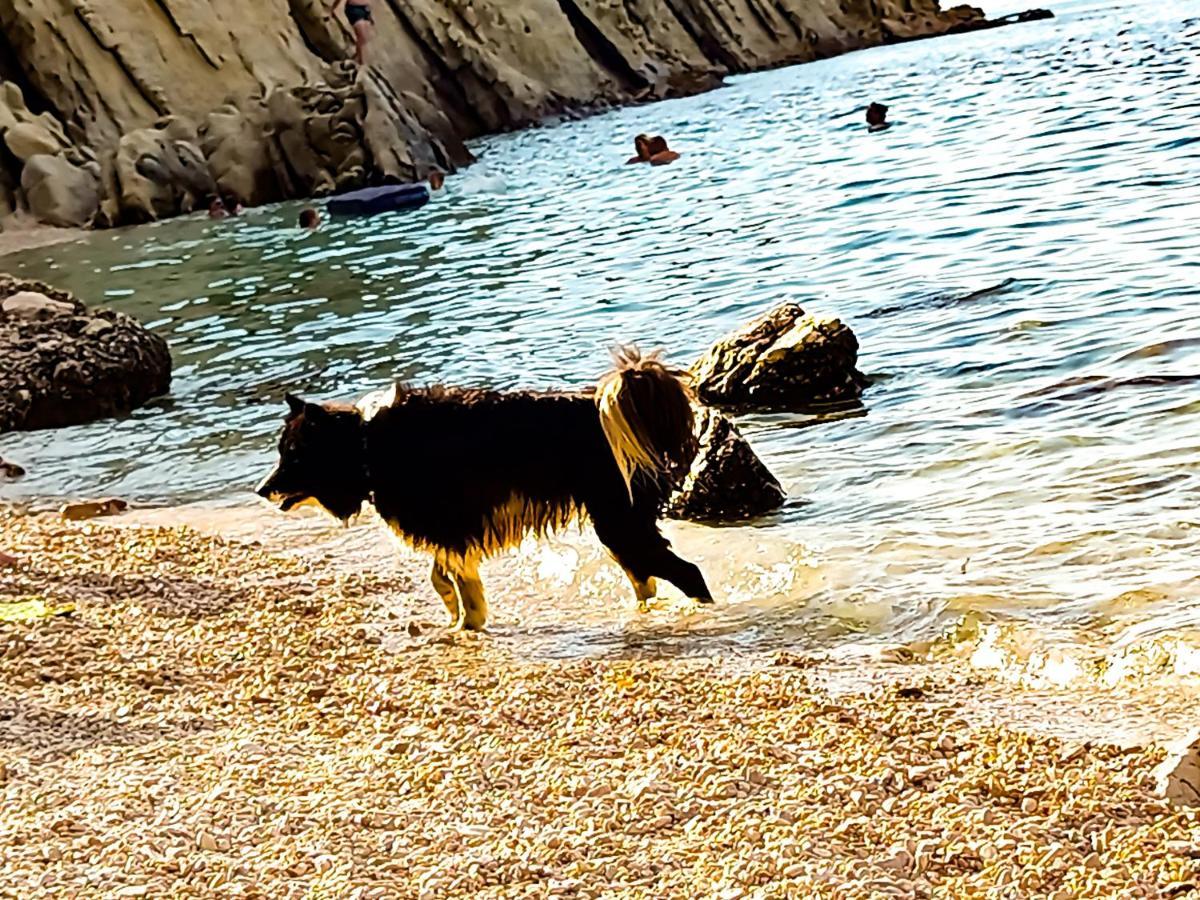 Mila Pet Friendly House With Private Place On The Apartmán *